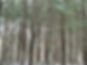 IMG_8982.jpeg