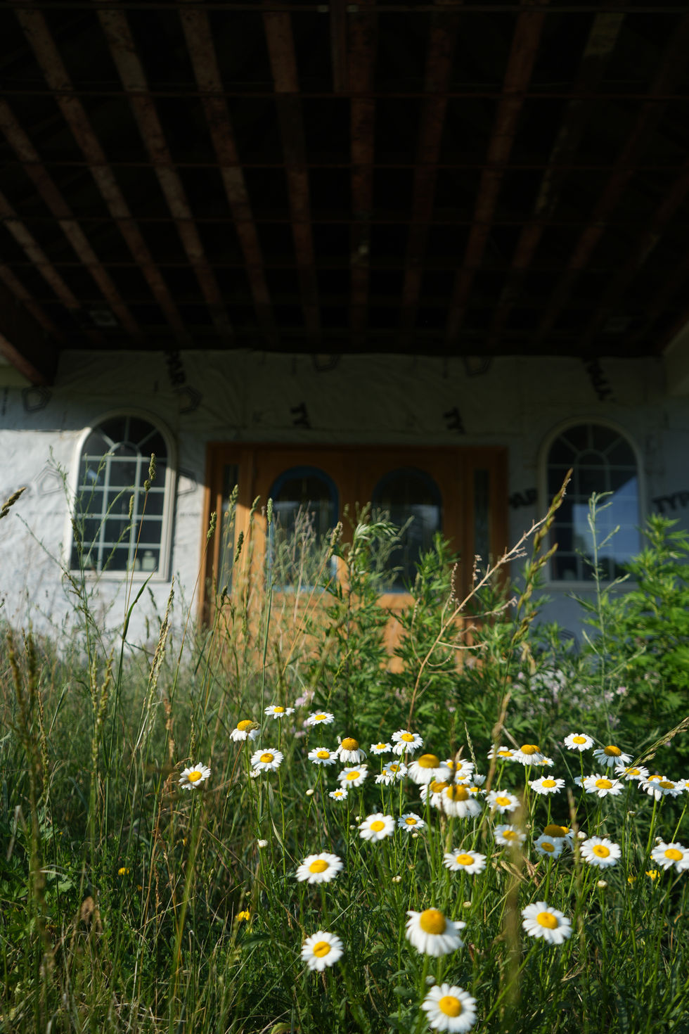DSC08007.jpg