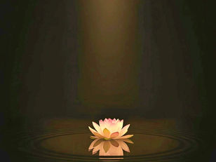 semintele mentale lotus