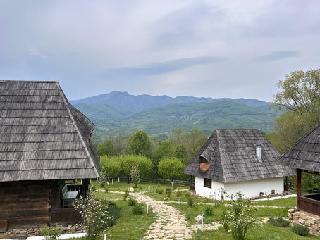 Rădăcinile Prosperității. Patru zile despre ce ne ține și ce ne eliberează