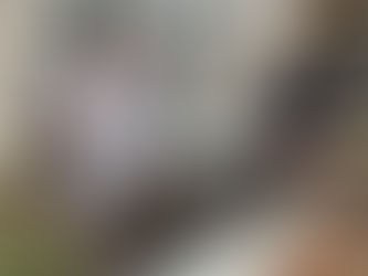 Central Va Hot Tub & Spa Outlet - Bealeton VA