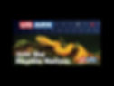 1AA25619-092F-4CE1-87DE-642F1929ED74.jpeg