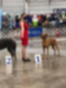 Maui Regional Specialty