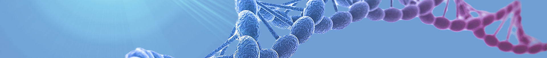 DNA Double Helix_edited_edited_edited.jp