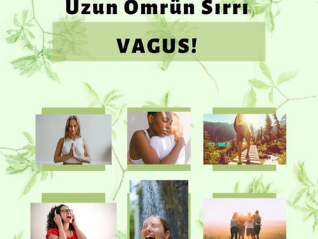 UZUN ÖMRÜN SIRRI 'VAGUS'