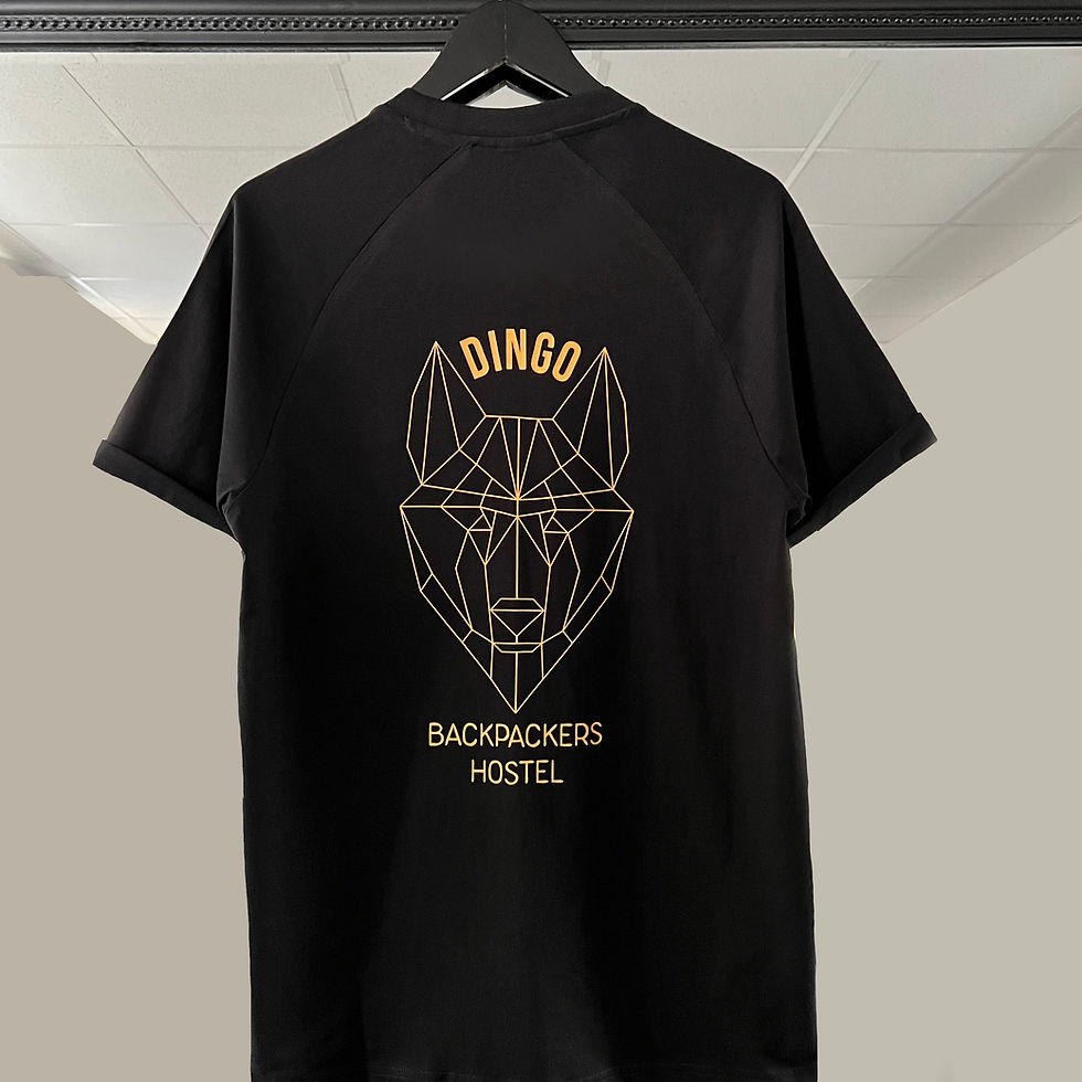 Thumbnail: Dingo t-shirt