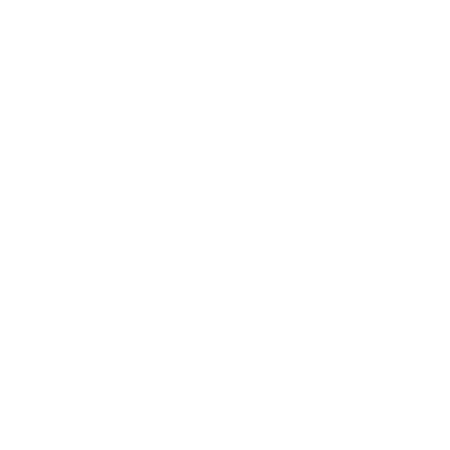 New logo(8).png