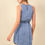 Thumbnail: The Little Denim Dress