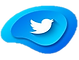 twitter.png