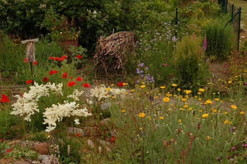 Muster- und Informationsgarten