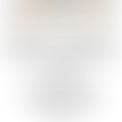 2. Dialog mit Rostock