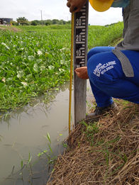 WhatsApp Image 2020-11-03 at 08.33.42 (1).jpeg