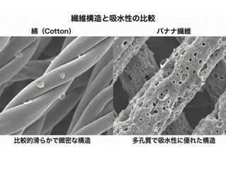 夏の訪れをバナナクロスで軽快に。天然の機能性繊維と独自の配合が生み出す極上のドライ感