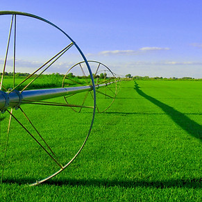 Farm Field