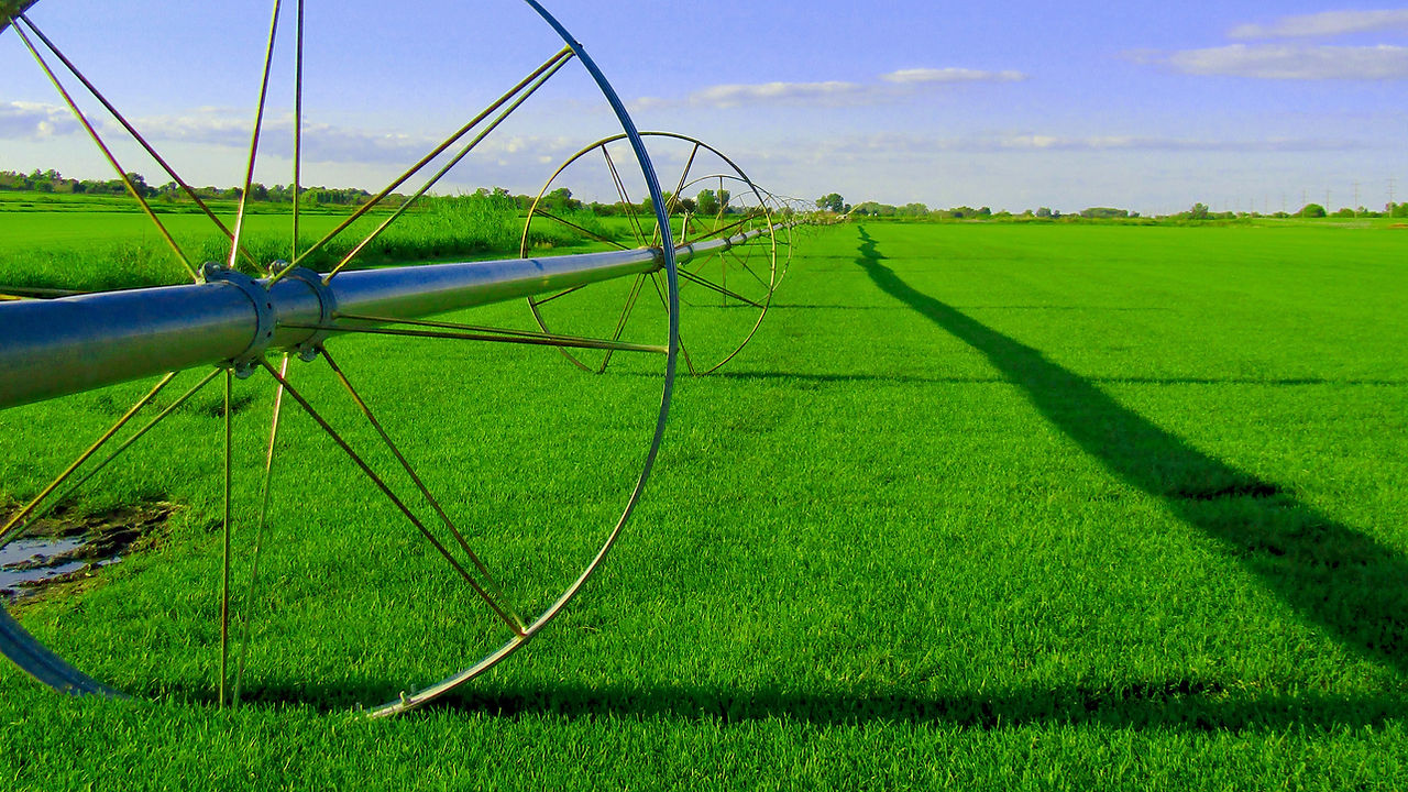 campo de exploração agrícola