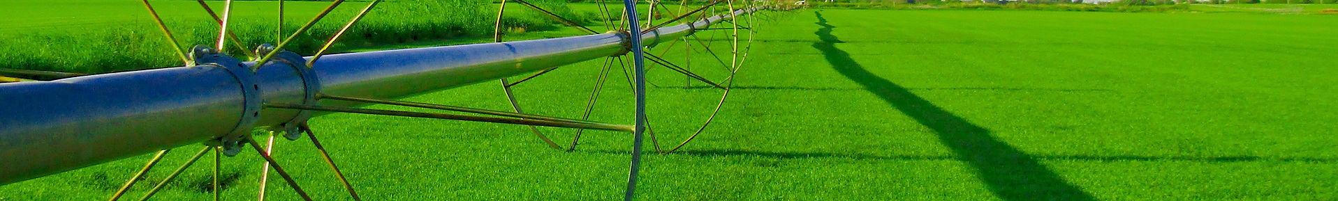 Farm Field