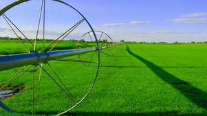 Farm Bankruptcies Rise | Fertilizer Prices Higher | USDA to Deliver $340.6M for Disaster Relief