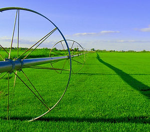 Farm Field