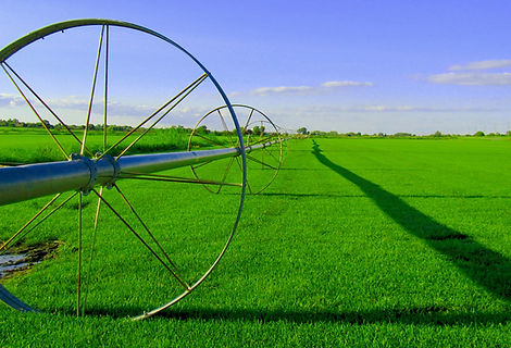 Farm Field