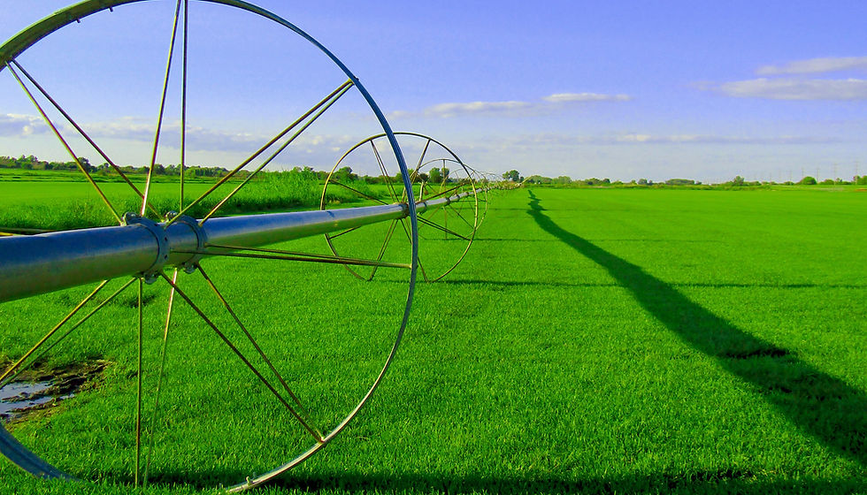 Farm Field