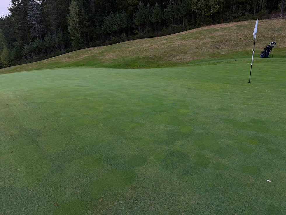 Greenen på 17 er en av de ondulerte