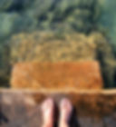 stepping forward.jpg