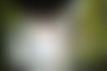 This is your first post