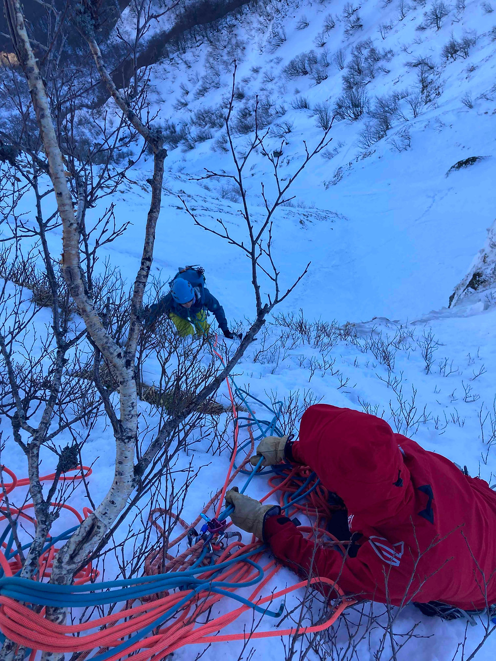Pratique les arbres du massif central pour faire des relais