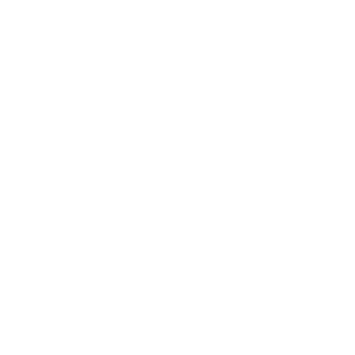 Super car icon
