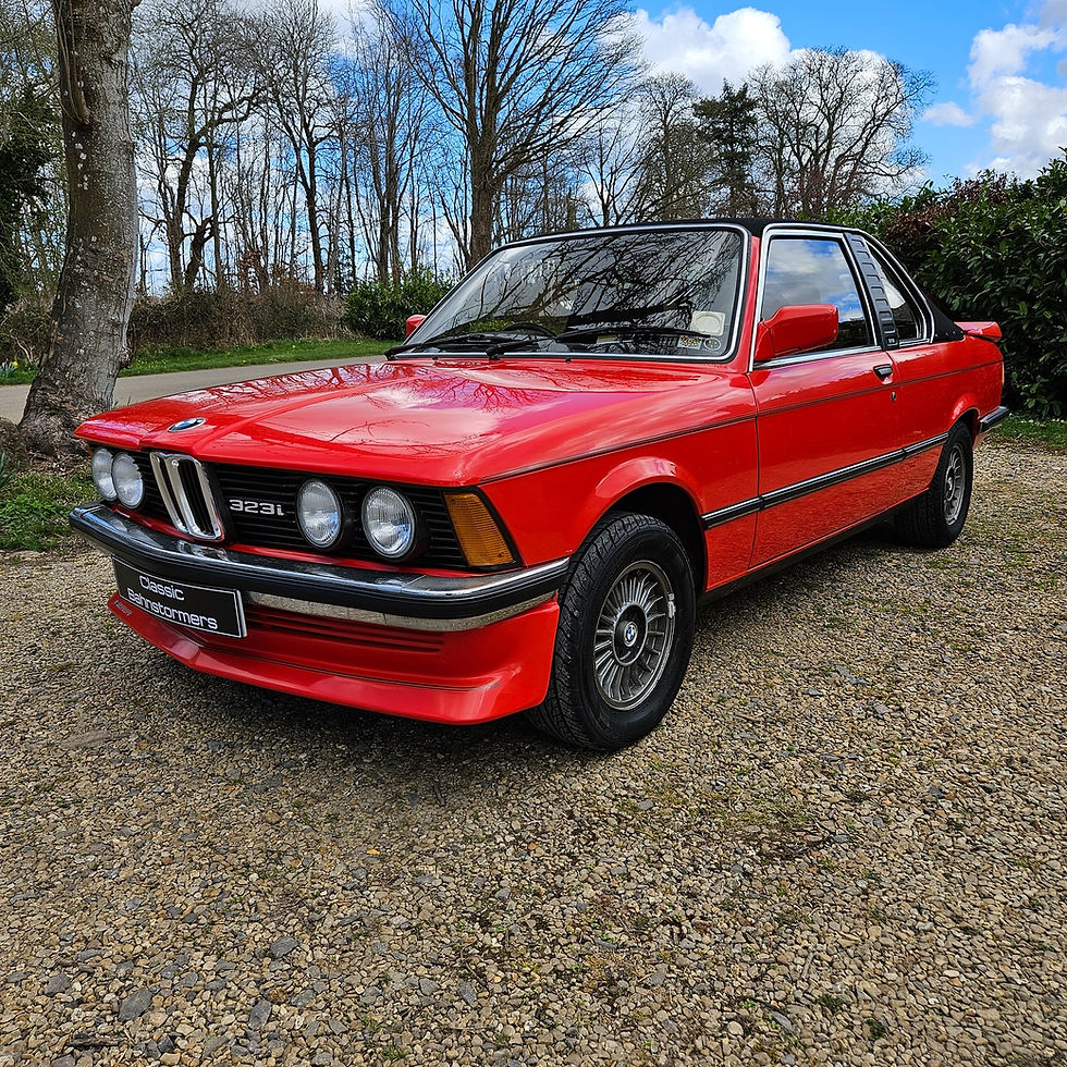 E21 323i Baur Project