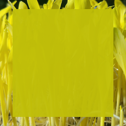 Site (33).png