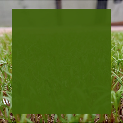 Site (18).png