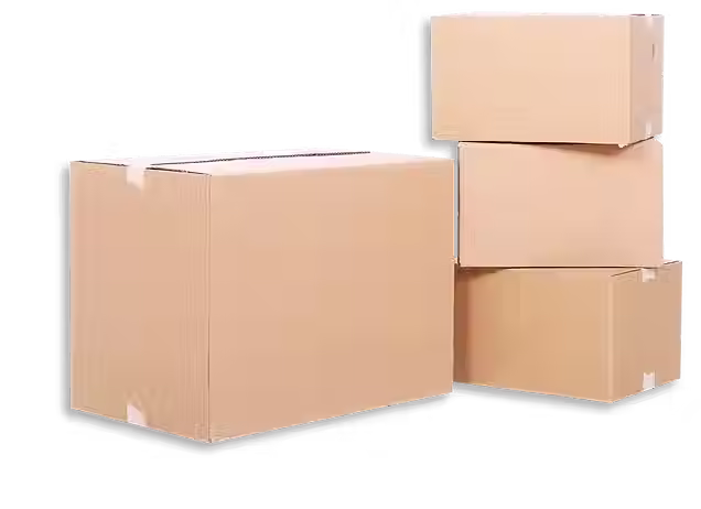 CAJAS orden mínima 10.000