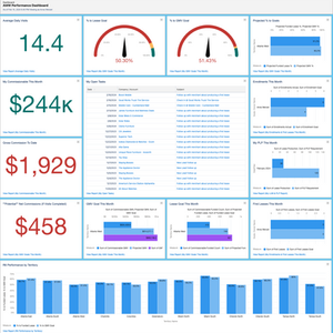 Reports and Dashboards: Daily Sales Performance Dashboard