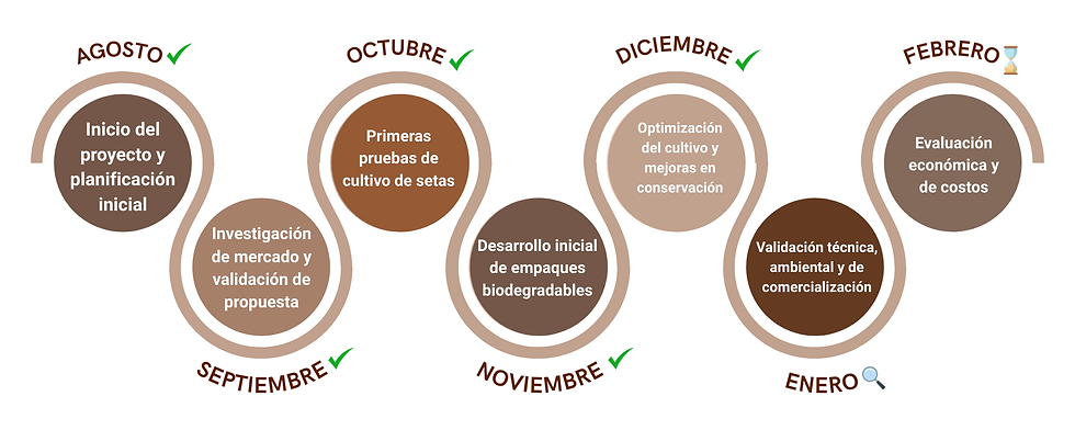 Texto del párrafo.png