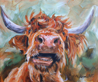 Highland Cow