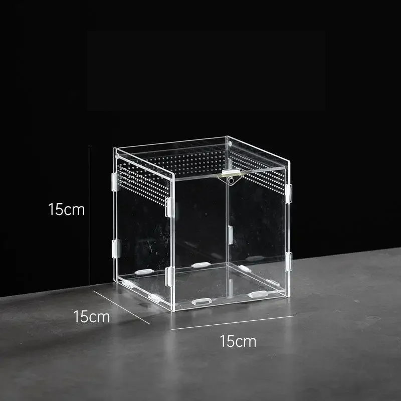 Miniatura: Terrario Acrílico para Reptiles – Caja de Cría para Tarántulas, Arañas, Es