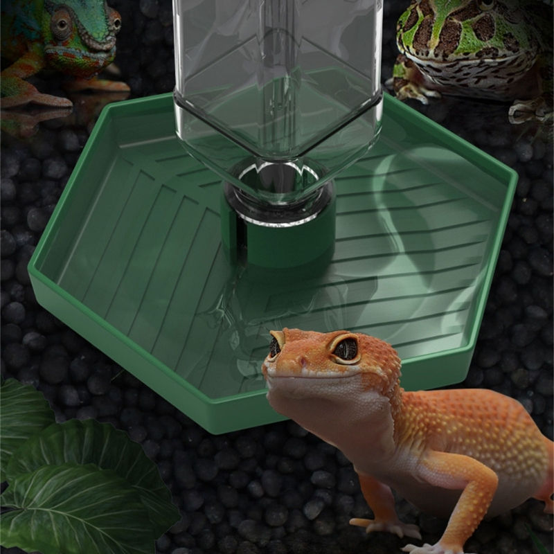 Miniatura: Bebedero para Reptiles con Botella Automática | Comedero y Dispensador de Agua 