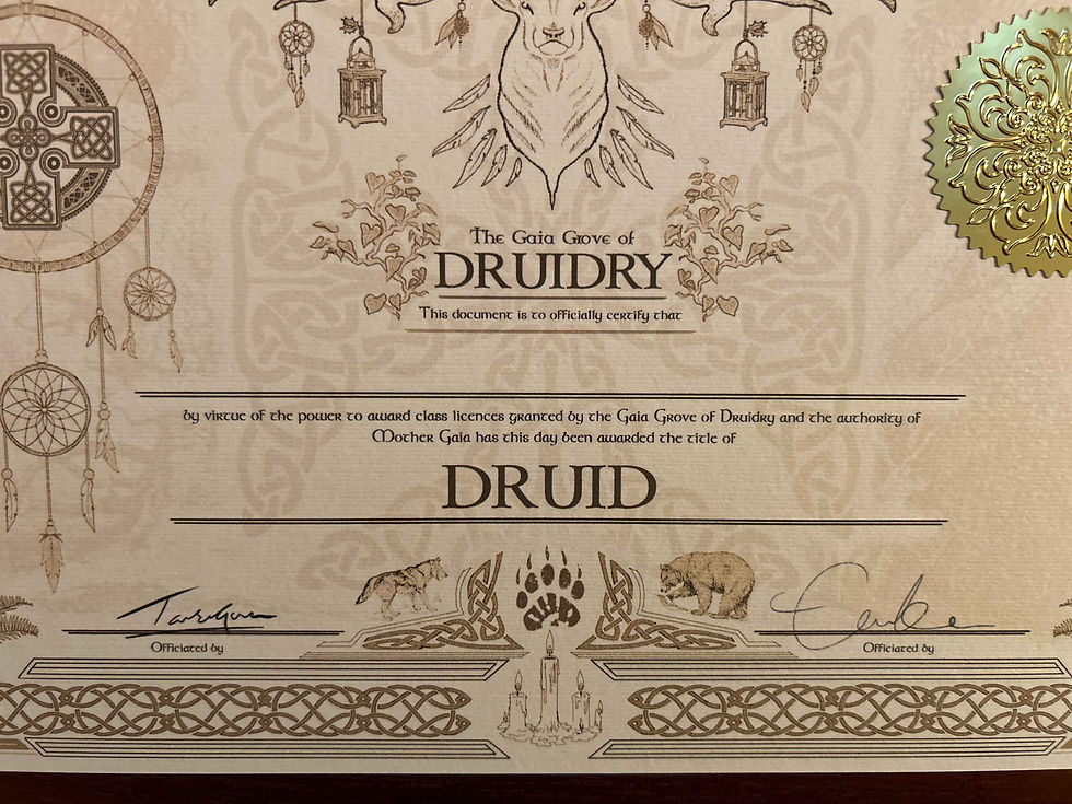 Thumbnail: D&D Dungeons and Dragons Class Certificate Old World Magic Gold Foil Sticker NoAI Hand Drawn Druid