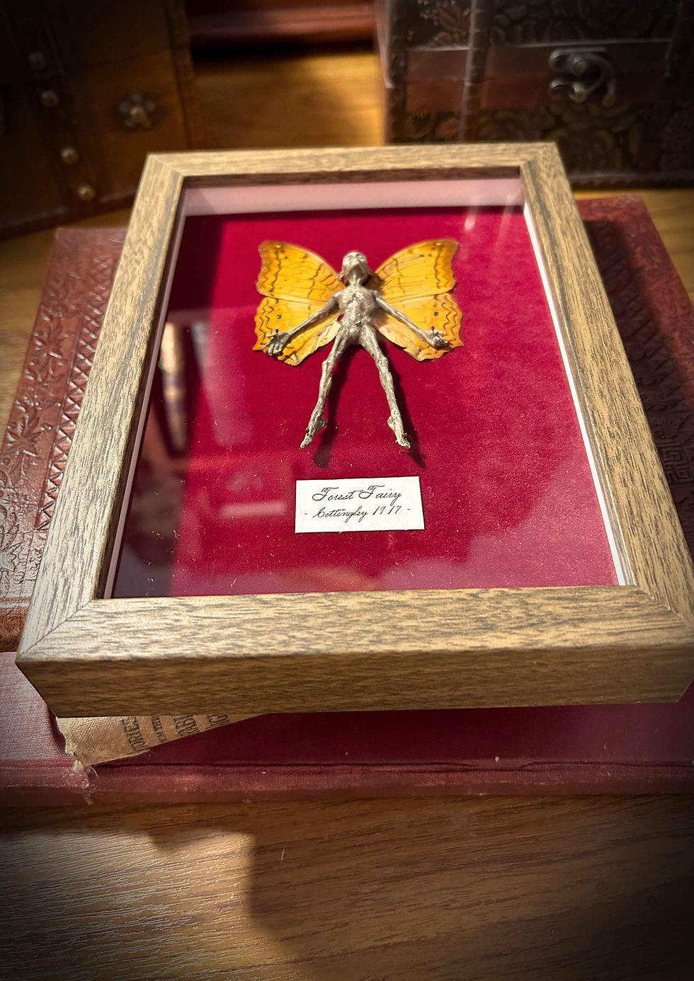 Thumbnail: Framed fairy figure with real butterfly wings, "Forget Me Not" text.