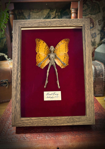 Mummified Forest Fairy Frame (Large) | Old World Magic