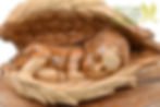 Thumbnail: Olive Wood Baby Jesus Figurine, Baby Guarded with Angel Wings Masterpiece
