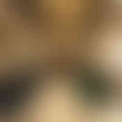 Thiết kế sảnh lễ tân khách sạn 5 sao