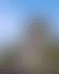 thi công nhà phố