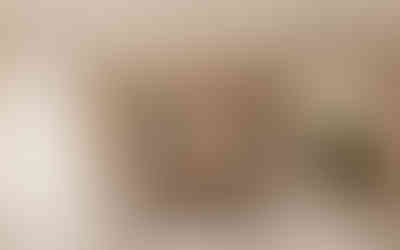 thiết kế nội thất nhà ở