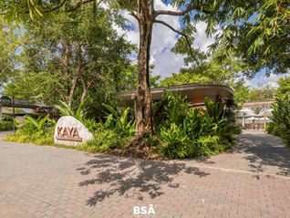 KAYA Coffee Lounge | Thiết kế - thi công