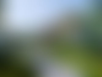 Ảnh Hưởng Của Du Lịch Wellness Đến Thiết Kế Và Xây Dựng Villa Trong Tương Lai