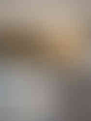 Thiết Kế Căn Hộ Boutique Indochine The Bizhouse - BSA