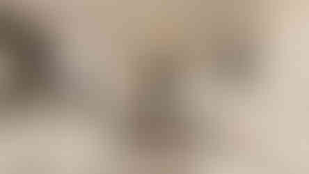 thi công nội thất biệt thự nguyễn trọng tuyển