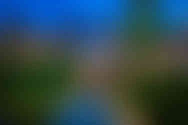 thiết kế thi công nhà hàng